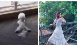 今日吃瓜视频唐艺昕微博,网友热议其最新动态